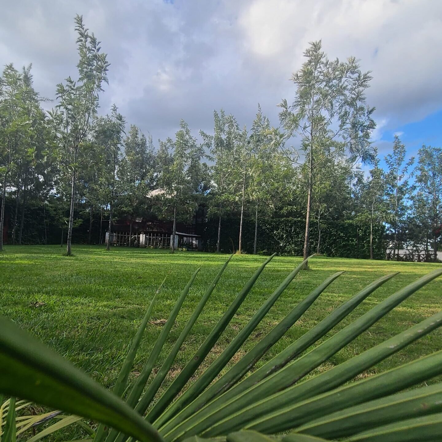 In the Green, Serene Embrace of Galaxy Inn.